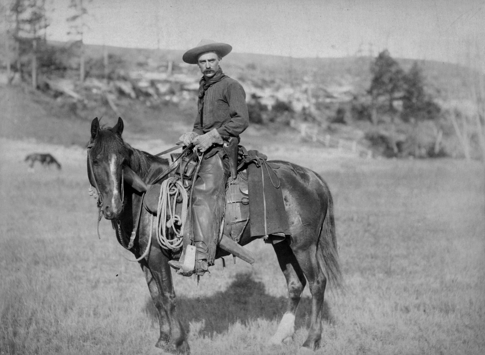 Cattle Drives And Cowboys What It Was Really Like Trips Into