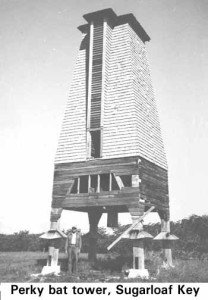 florida bat tower