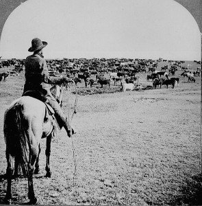 1902 cowboy