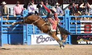 Broncobuster3 bronco buster