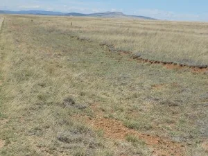 santa fe trail wagon ruts