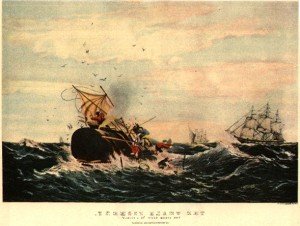 whaling in the 1800s