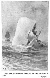 moby dick whale attack