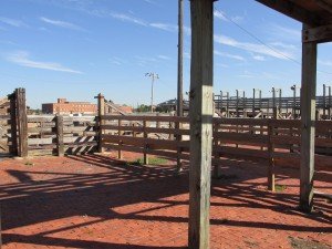 Fort Worth Texas stockyards