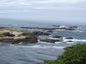 point lobos shoreline