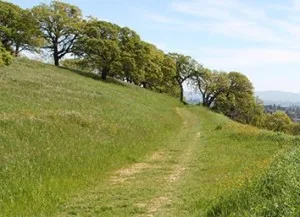 muir orchards and grounds