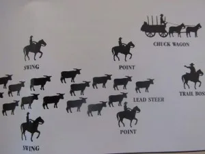 cattle drive cowboys